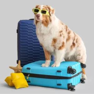 Para Pets